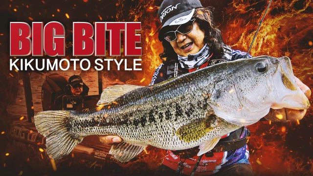 BIG BITE
