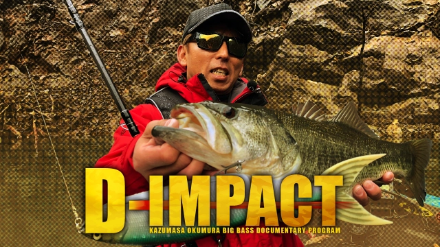 D-IMPACT