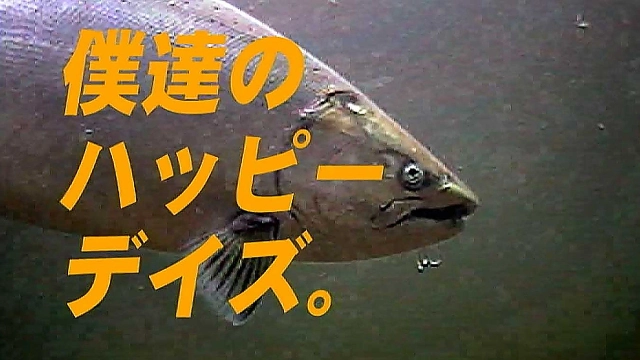 僕たちのハッピーデイズ