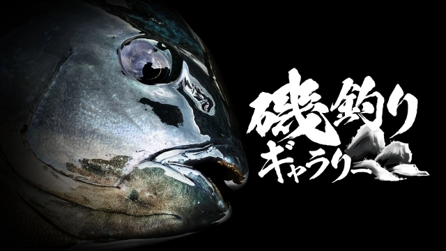 磯釣りギャラリー