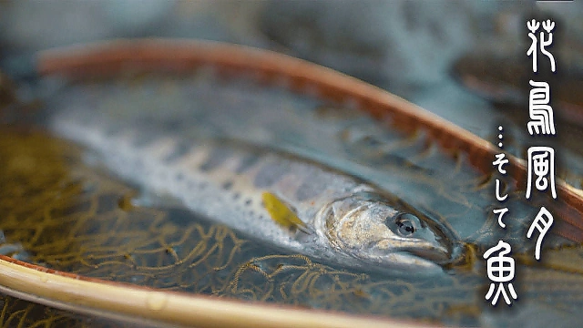 花鳥風月…そして魚