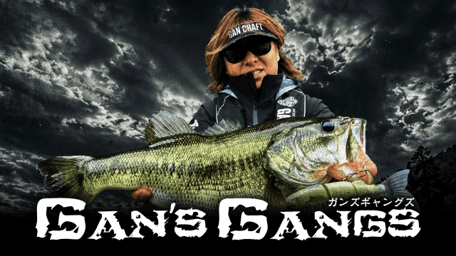 GAN's GANGS