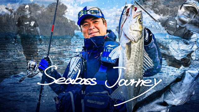 Seabass Journey