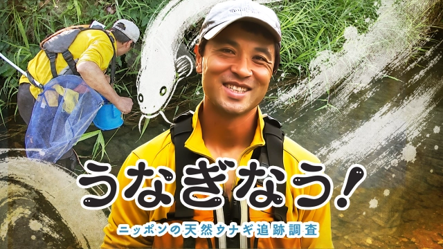 うなぎなう！