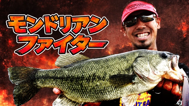 モンドリアンファイター