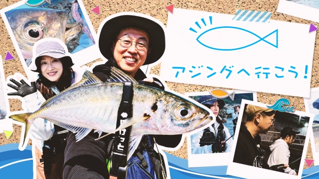 アジングへ行こう！