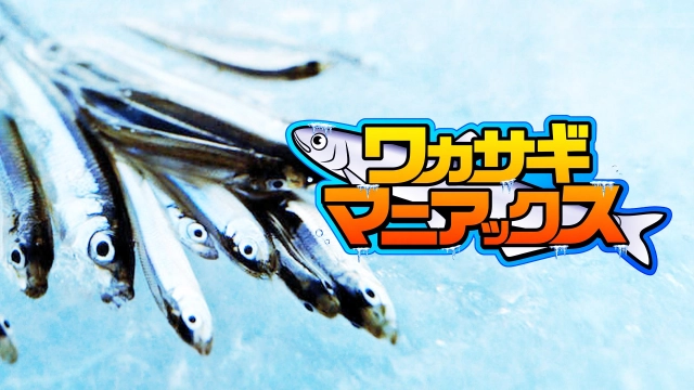ワカサギマニアックス