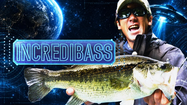 INCREDIBASS