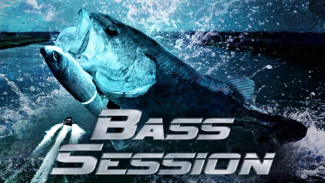 BASS SESSION