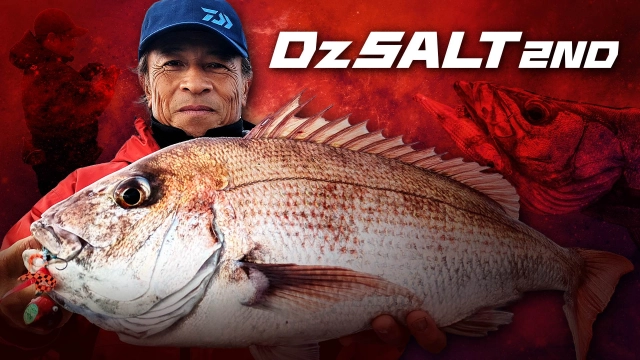 Dz SALT 2ND