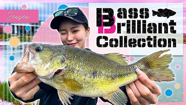 BassBrilliant Collection