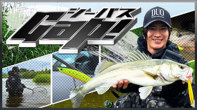 シーバスGap！