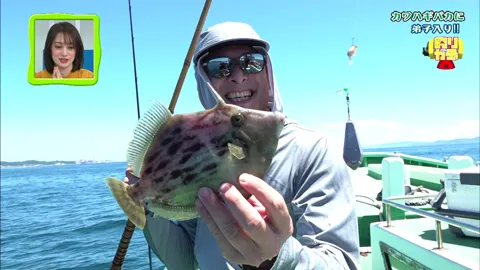 釣りガチャ カワハギバカに弟子入り！！