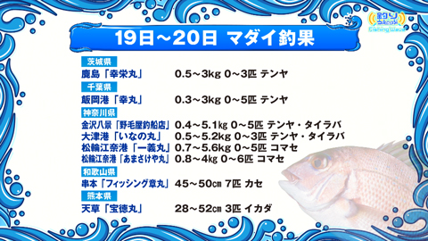 FishingWave 村上晴彦的 釣りの世界観&ノッコミマダイシーズンイン!