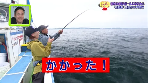釣りガチャ 釣れる釣りガールになりたい！～神野梓 夏カワハギ修行～