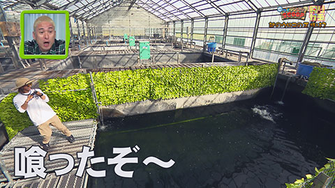 釣りガチャ 「フィッシングSCOOP 謎のウロコの正体は?」