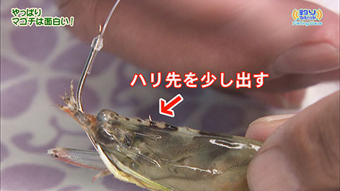 FishingWave やっぱりマゴチは面白い
