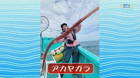 FishingWave なおちん流 この釣りが面白い!