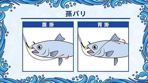 FishingWave 2023年もアツイぞ!船ヒラメ