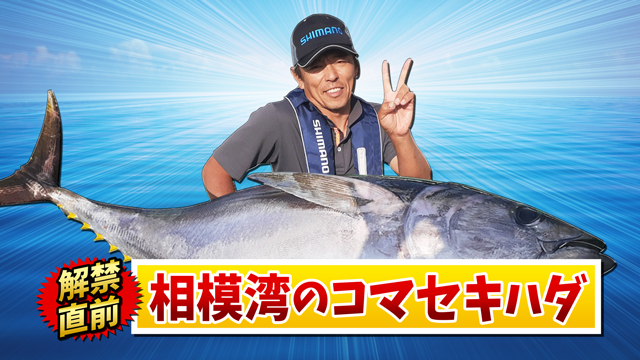 番組アーカイブ動画