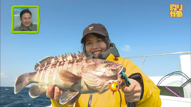 釣りガチャ 愛媛県愛南町「ふるさと納税で船釣りを楽しもう！」 メイン