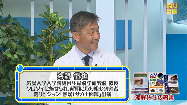 釣りガチャ 「おしえて先生」視聴者からの質問にアカデミックに答えます メイン