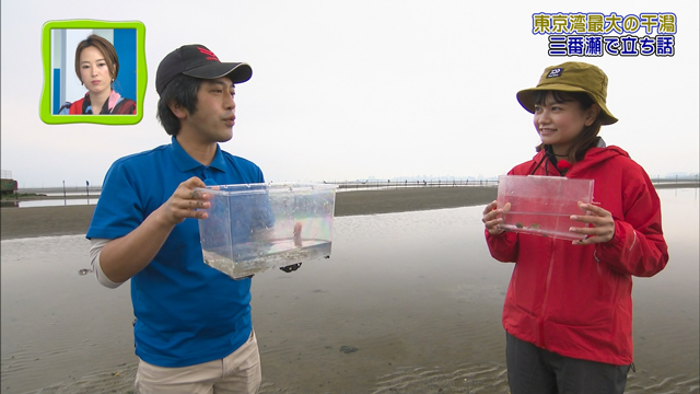 釣りガチャ 橘みづほのちょっと立ち話~東京湾最大の干潟 三番瀬で立ち話~ メイン