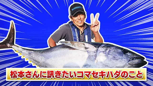 FishingWave 「相模湾コマセキハダ＆激熱フィッシュワラサ＆東京湾ライトアジ」 メイン