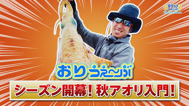 FishingWave 「シーズン開幕!秋アオリイカ入門」 メイン