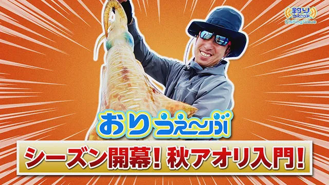 FishingWave 「シーズン開幕！秋アオリイカ入門」 メイン