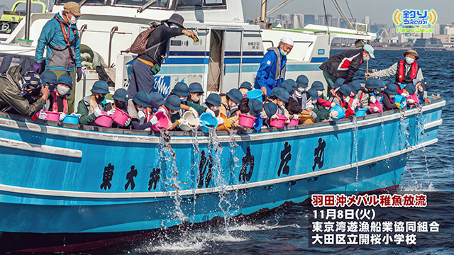 NewsWave 「ファミリー釣り体験・東京湾稚魚放流」 メイン