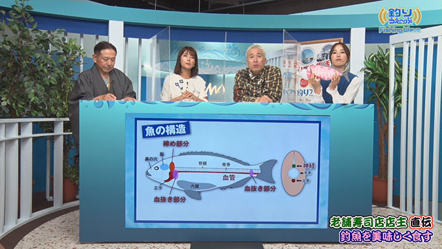 FishingWave 老舗寿司店店主が伝授!釣り魚を美味しく食べよう‼ メイン