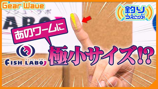 番組アーカイブ動画