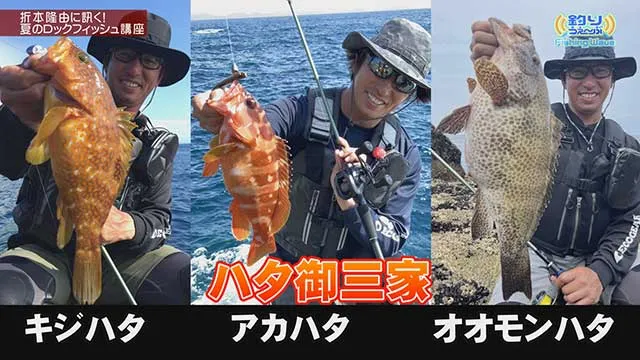 FishingWave 夏のロックフィッシュ講座 メイン