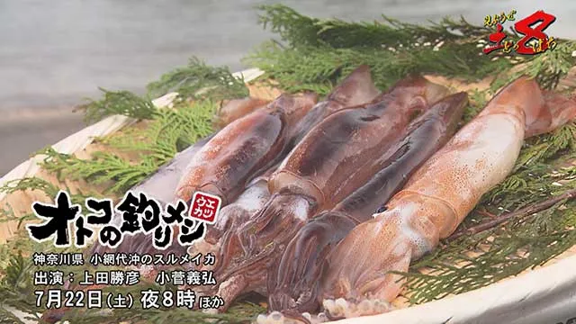 見ようぜ！土８ 「オトコの釣りメシ 4 神奈川県小網代沖のスルメイカ」 メイン