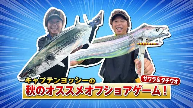 FishingWave キャプテンヨッシーの秋オススメオフショアゲーム！サワラ＆タチウオ メイン