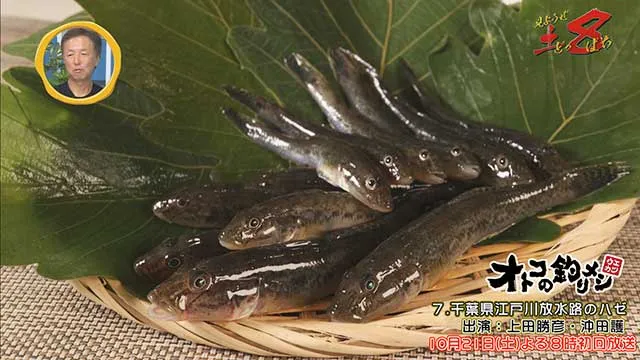 見ようぜ！土８ 「オトコの釣りメシ」 メイン