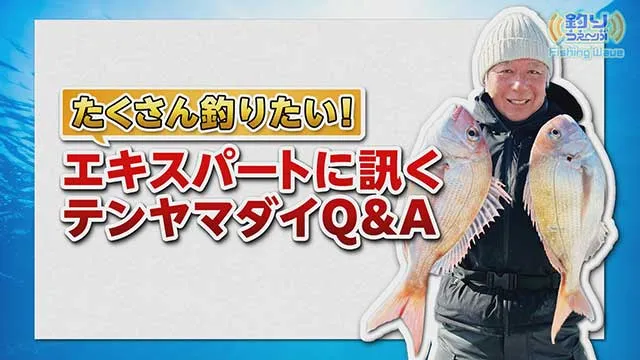 FishingWave たくさん釣りたい！エキスパートに訊く、テンヤマダイQ&A メイン