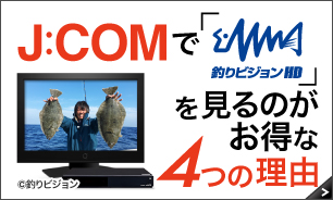 J:COMで釣りビジョンHDを見るのがお得な4つの理由