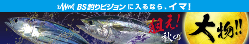 釣りビションプロモーション