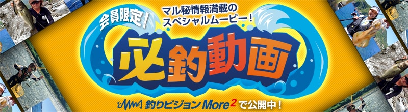 釣りビジョンMore 必釣動画