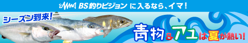 釣りビションプロモーション