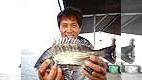 チヌ道一直線 其の十三　 いざ！激流のかかり釣り 真夏の徳島 小鳴門