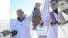 関西海擬似餌研究所 13 高級魚のヒラメを狙い撃ち!近場で手軽にジギング調査する