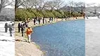 第5回トラウトキング選手権大会 ビギナーズ部門第2戦　栃木県・加賀フィッシングエリア