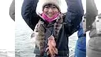 こちら東海です。 その18　冬はやっぱり根魚釣り！サビキメバルで大フィーバー？
