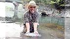 Fun to FlyFishing STEP-1 Vol.5 キャンプフィッシング