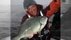 磯を駆ける 第二十九章　島根県隠岐島
