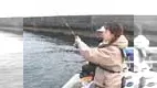 こちら東海です。 その32　目指せ50cmオーバー！清水港で巨大クロダイを追え！