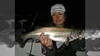 RUN＆GUN SALT TOKYOBAY SEABASS 2